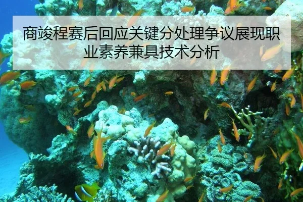 商竣程赛后回应关键分处理争议展现职业素养兼具技术分析