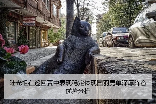 lu-guang-zu-zai-xun-hui-sai-zhong-biao-xian-wen-ding-ti-xian-guo-yu-nan-dan-shen-hou-zhen-rong-you-shi-fen-xi-2-391.jpg